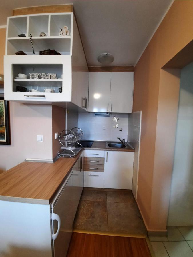 Fit Apartman Zlatibor Zewnętrze zdjęcie