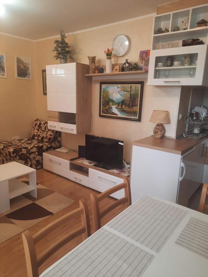 Fit Apartman Zlatibor Zewnętrze zdjęcie