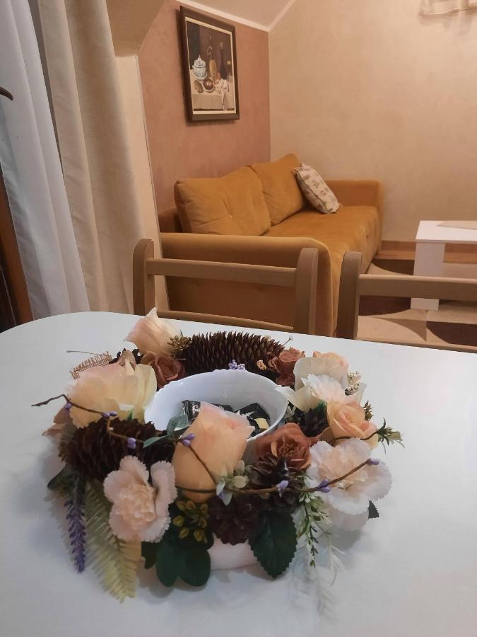 Fit Apartman Zlatibor Zewnętrze zdjęcie